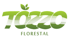 Tozzo Florestal