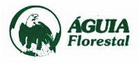 Águia Florestal